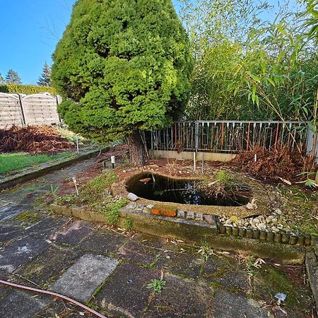 Haus Mit Garten Halle  المظهر الخارجي الصورة